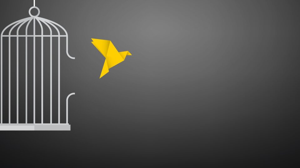 Trying to stop spam coming from your website form is a futile effort — here’s how to win your freedom