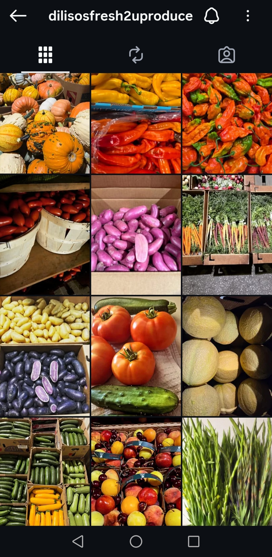 DiLiso's Fresh 2U Instagram feed